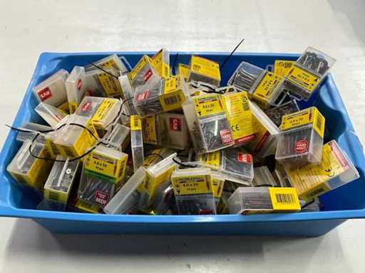 Rotadrill Assorti diverse schroeven RVS en verzinkt (100x)