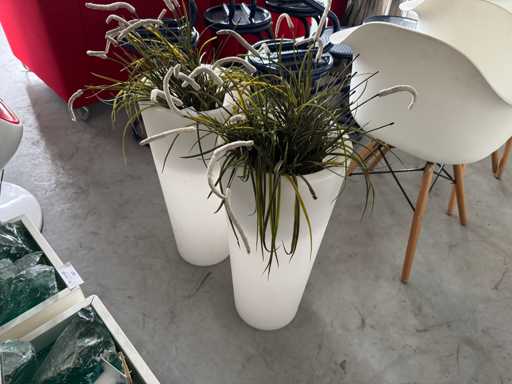 Planten met pot (2x)