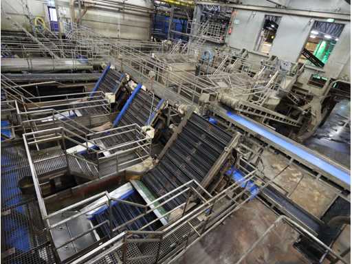 Bankruptcy of CelaVita Foods B.V. | Potato Cream, Washing and Sorting