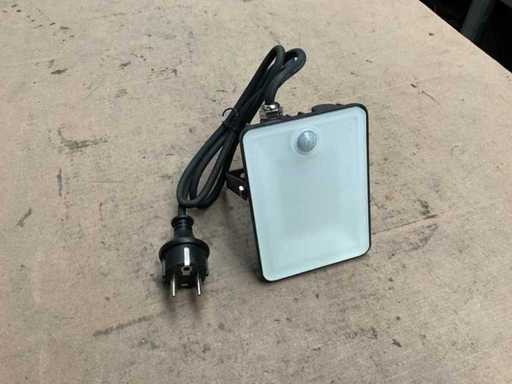 Fluxon LB20FP Floodlight with Motion Sensor