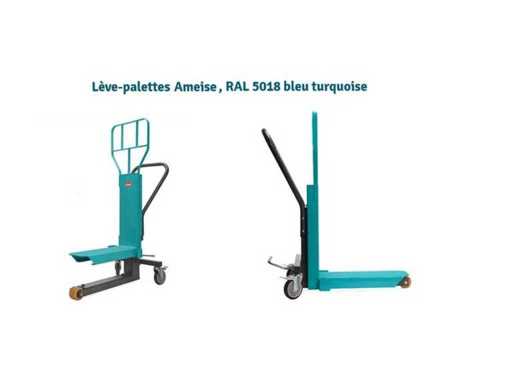Camion pallet idraulici manuali