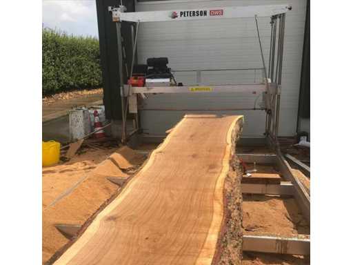 Scie à scierie Peterson DWS 190 cm 