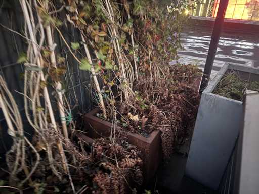 Plante métallique (3x)