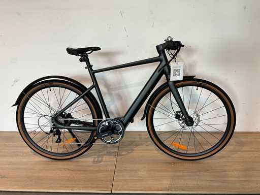 Fiido 31 Elektrische herenfiets