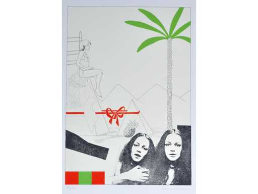 Marc Vanderleenen - zeefdruk