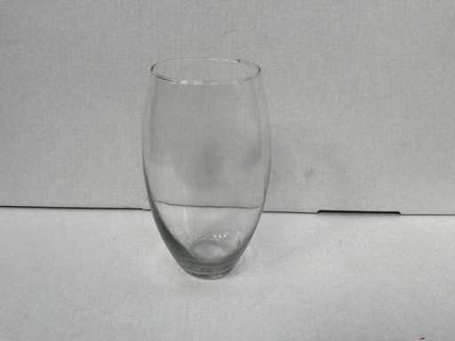 Amarylles Vaas (486x)