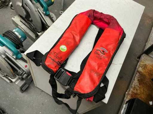 Mullion Divansi Schwimmweste (10x)