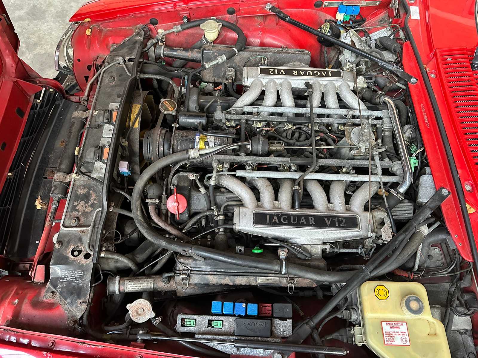 Jaguar XJS Cabriolet 5,3 V12 266 PS 1992