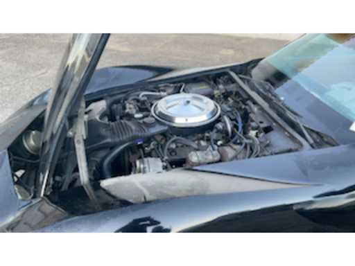 432cb3b8-4eb8-4499-a2ba-fb32e0b24294.mp4