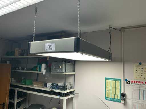 WALDMANN Lampada da soffitto