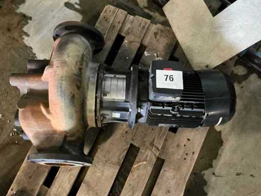 Grundfos Pomp