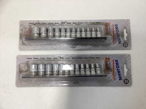 (2x) Projahn 1/4" Steckschlüssel auf Schiene