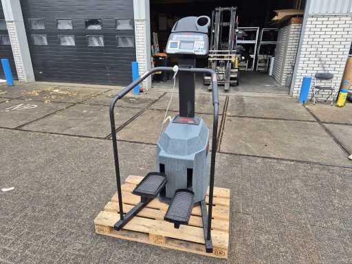 life fitness - Life fitness stepper