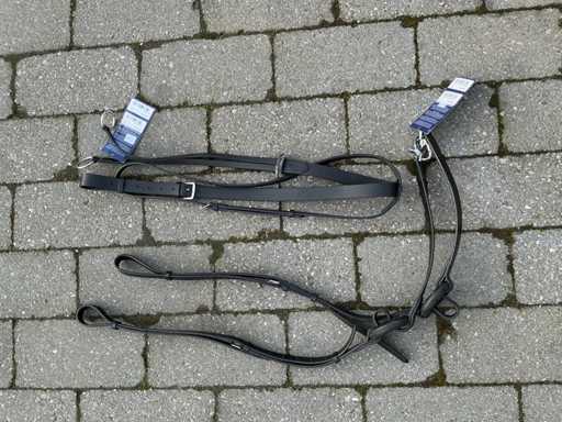 Side reins round rings + Martingale horses