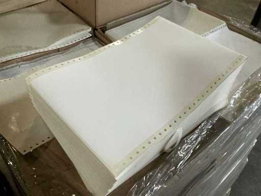 Lanxess 206.5x276mm Computer label (160x)