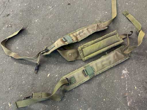 Curele de petrecere pentru rucsac Alice