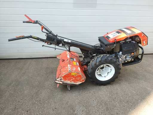 Goldoni – 2011 – mein Special 1500 – 