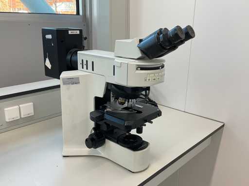 Olympus BX41 Microscope