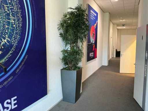 Plantă artificială 49x49x265cm 