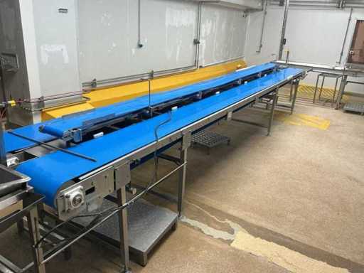 Belt conveyor