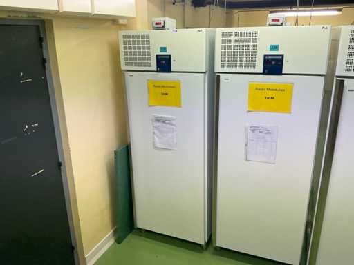 Liebherr 461353 Congélateur -20