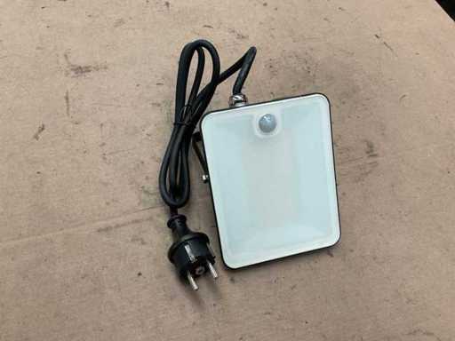 Fluxon LB30FP Flutlicht mit Bewegungssensor