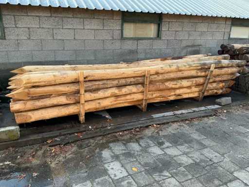 Robinia posts Ø 140-160mm peeled and pointed - 4500mm.