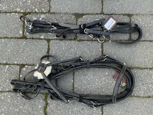 Bridle + martingale horses