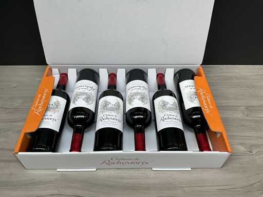André Lurton Château de Rochemorin, Pessac-Léognan 2019 (6x)