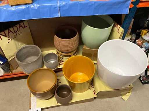 Various Flower Pot (8x)