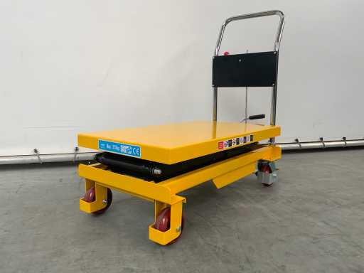 RTE Platform trolley lift 350KG