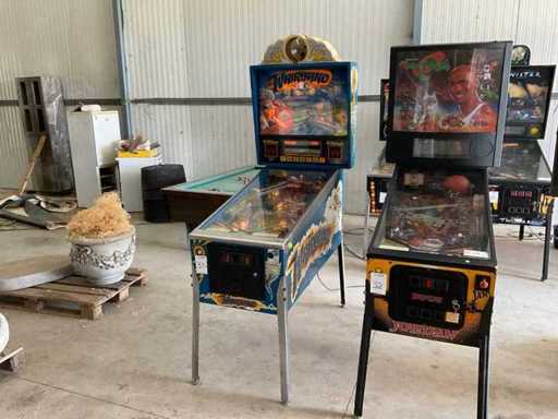 Williams Whirlwind Flipperkast