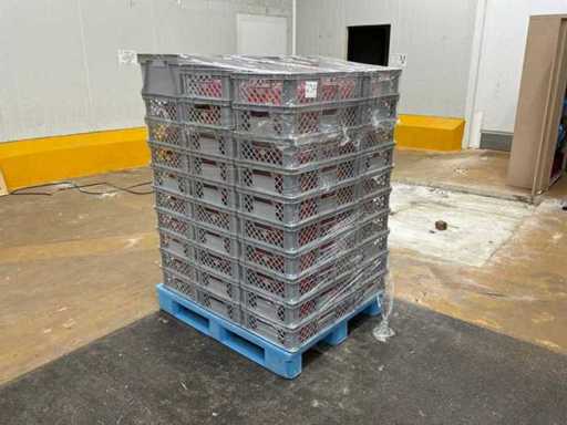 Plastikkisten (50x)