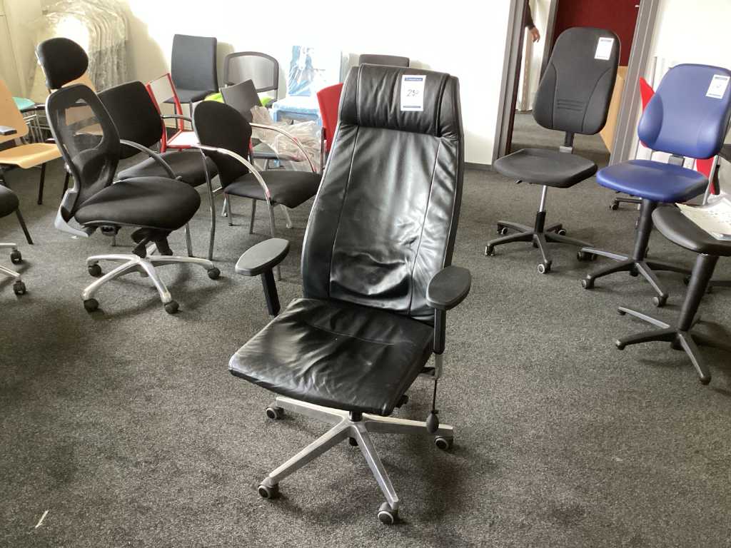 Sokoa Office Chair