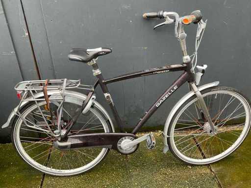 Gazelle - Chamonix - rower męski