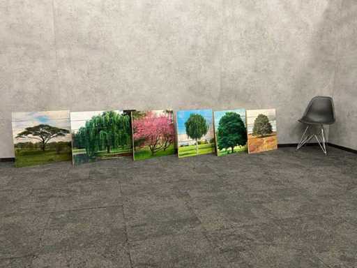 6x wanddecoratie - boom afgedrukt op hout