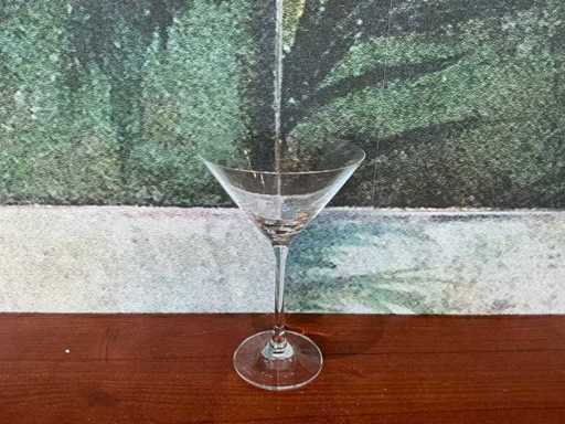 Schott Zwiesel - Martini glass (6x)