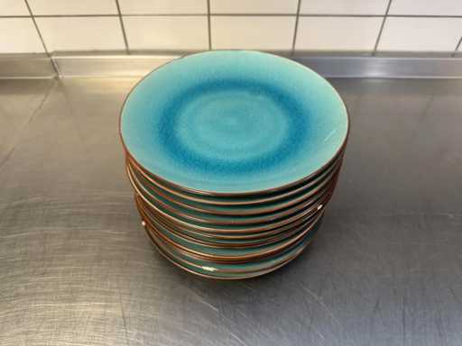 Assiette Ø 22 cm (13x)