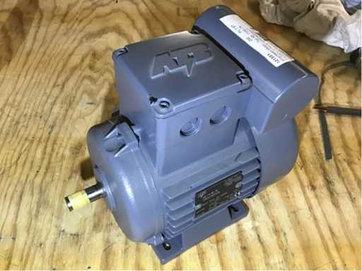 Single-phase electric motor