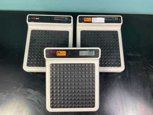 Bilancia Seca 770 (3x)