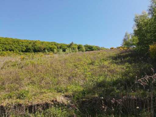 Ancienne parcelle de vignoble de 1 688 m² à Zell, Cochem - Allemagne