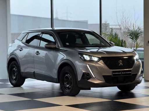 Peugeot 2008 1.2 S&S 100 Actieve Zaken