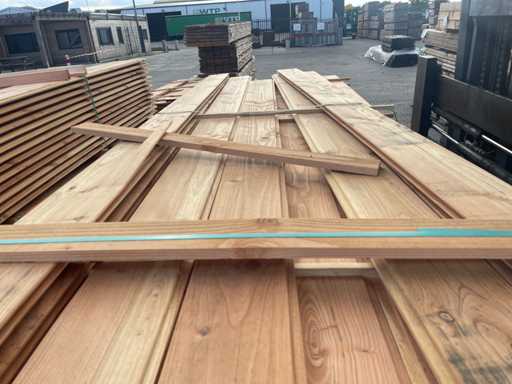 Douglasie Blockhaus Profil 3000x180x28mm (67x)