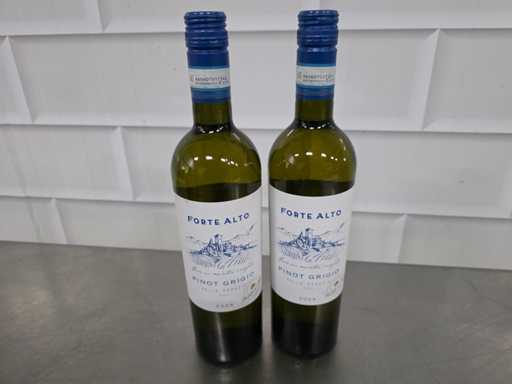 2024 - Forte Alto Pinot Grigio 2024 Witte wijn fles (11x)