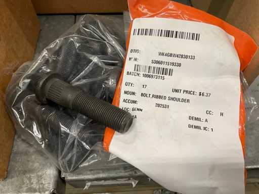 Boulon d’ancrage (24x)