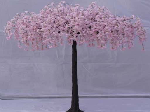 Artificial Sakura boom