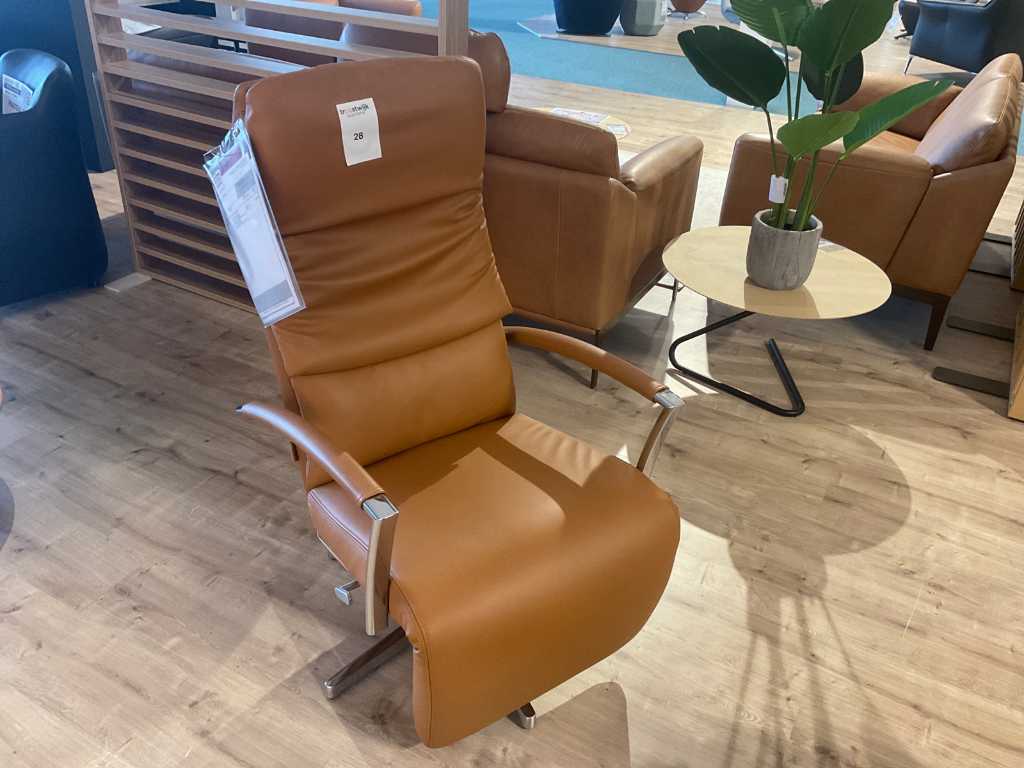 Durlet Dayton design reclining chair