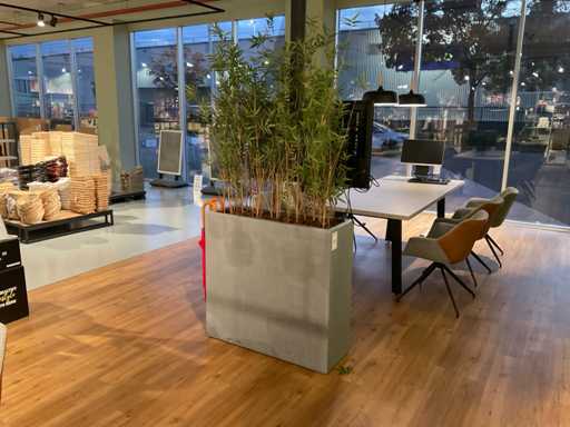 Plant? de apartament artificial? în recipient