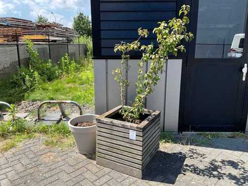 Plantenbak (4x)