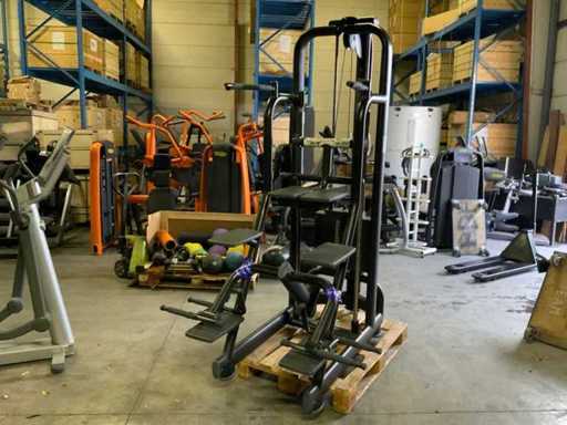 Technogym selection line easy chin dip Multi-gym